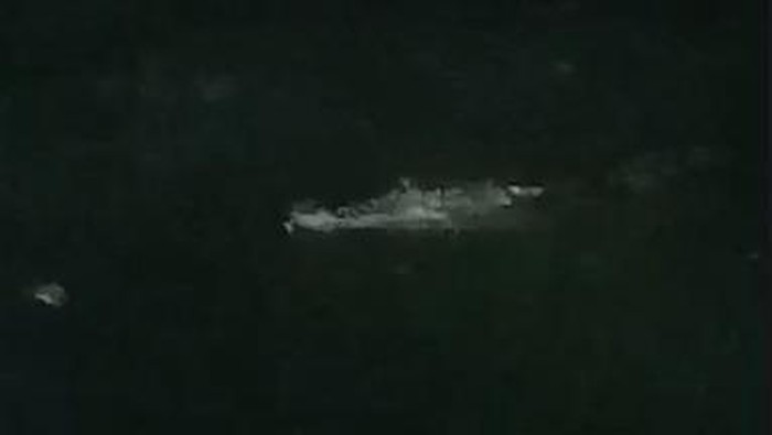 Geger buaya berukuran sekitar 4 meter muncul di bawah jembatan Pampang, Makassar.