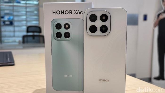 Honor X6C
