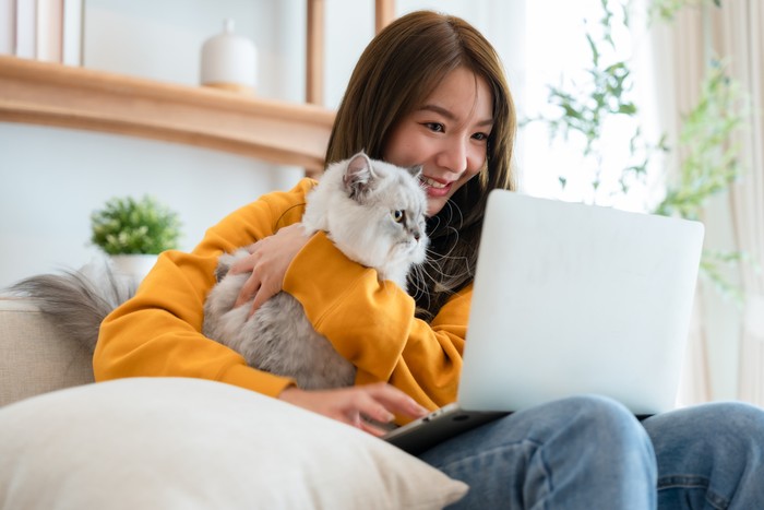 Young asian woman working at home, using laptop computer on couch while playing cat