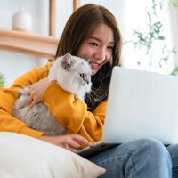 7 Karakter Unik Orang yang Suka Ajak Ngobrol Kucing atau Anjing Peliharaannya