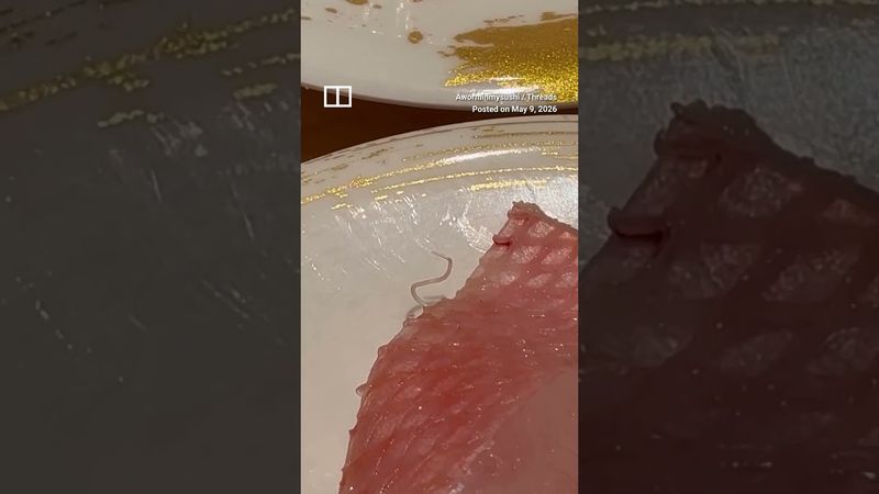 Jijik! Pelanggan Ini Temukan Cacing Hidup di Menu Sashimi