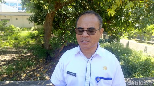 Kepala Disdikbud NTT, Ambrosius Kodo. (Foto: Simon Selly/detikBali)