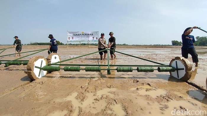 Pemkab Indramayu mendorong transformasi sektor pertanian melalui penerapan teknologi modern berbasis Sistem Pertanian Modern Agriculture Advance System (PM-AAS).