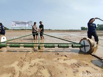 Terapkan PM-AAS, Produksi Padi di Indramayu Dibidik 10 Ton/Hektare