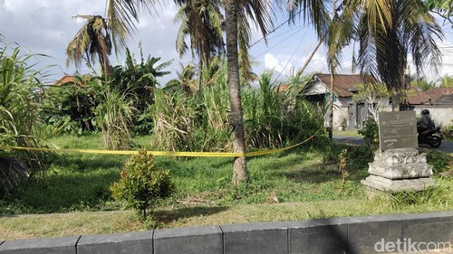 Lahan kosong tempat ditemukannya jasad pria tanpa identitas yang sudah membusuk di Desa Darmasaba, Badung, Rabu (13/5/2026).
