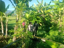 Hendak Buang Air, Warga Buleleng Temukan Mayat di Saluran Irigasi
