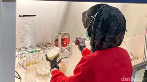 Petugas laboratorium sedang menguji sampel menu MBG yang menyebabkan puluhan siswa keracunan di Lombok Timur, NTB.