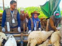 Belasan Hewan Kurban di Karawang Terserang Penyakit Orf