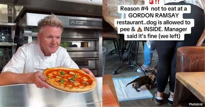 Restoran Gordon Ramsay Disebut Menjijikkan, Ternyata Gegara Hal Ini