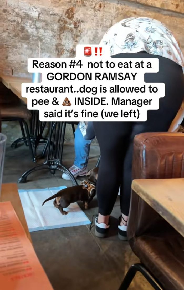 Restoran Gordon Ramsay Disebut Menjijikkan, Ternyata Gegara Hal Ini