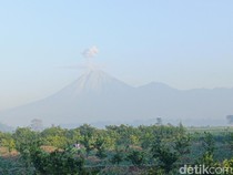 Semeru 4 Kali Erupsi, Abu Vulkanik Mencapai Ketinggian 1 Km