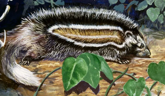 Tikus berbisa
