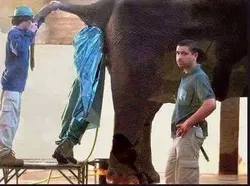 Momen Sial Tingkat Dewa, Orang-orang Ini Apes Maksimal