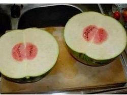 Momen Sial Tingkat Dewa, Orang-orang Ini Apes Maksimal