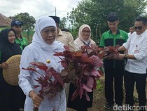 Pemprov Jatim Gelontorkan Rp 46,9 M Benahi 44 Sekolah di Tulungagung-Pacitan