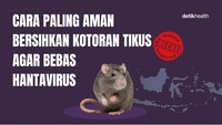 Selama Ini Salah? Ini Cara Paling Aman Bersihkan Kotoran Tikus Agar Tak Kena Hantavirus