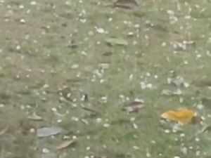 Pandeglang Dilanda Cuaca Ekstrem: Hujan Es hingga Pohon Tumbang