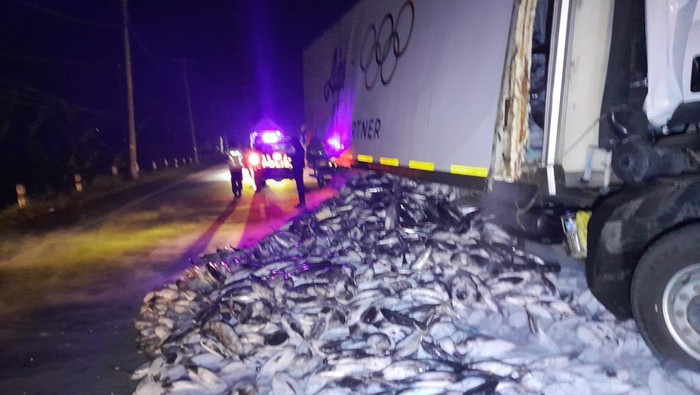 Ikan tuna dari Bali yang diangkut truk tronton berserakan di jalan Raya Purwodadi - Blora, Kabupaten Grobogan, Kamis (14/5/2026).