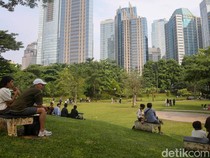 Libur Panjang, Warga Serbu Hutan Kota GBK untuk Piknik Murah di Tengah Jakarta