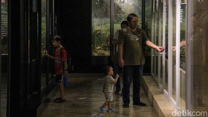 Museum Zoologi di kawasan Museum Zoologi Bogor menjadi salah satu destinasi wisata edukasi favorit bagi masyarakat. Sejumlah pengunjung tampak melihat serta memperhatikan koleksi satwa yang dipamerkan di berbagai ruang display museum tersebut.