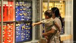 Berjumpa Paus Raksasa-Serangga Langka di Museum Zoologi Kebun Raya Bogor