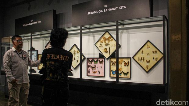 Museum Zoologi di kawasan Museum Zoologi Bogor menjadi salah satu destinasi wisata edukasi favorit bagi masyarakat. Sejumlah pengunjung tampak melihat serta memperhatikan koleksi satwa yang dipamerkan di berbagai ruang display museum tersebut.