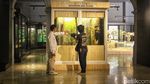 Berjumpa Paus Raksasa-Serangga Langka di Museum Zoologi Kebun Raya Bogor