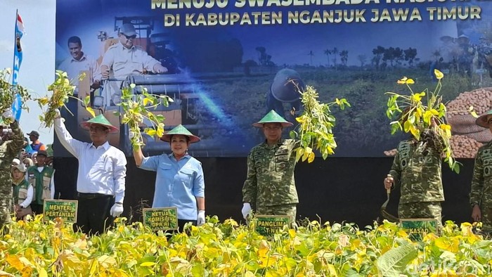 Panen raya kedelai di Nganjuk