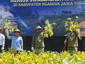 Nganjuk Panen Raya Kedelai, Jadi Model Percepatan Swasembada Nasional
