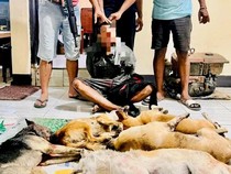 Pria Kupang Ditangkap Polisi Saat Tepergok Curi 5 Anjing Warga
