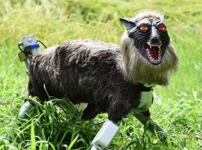 Robot serigala pengusir beruang di Jepang
