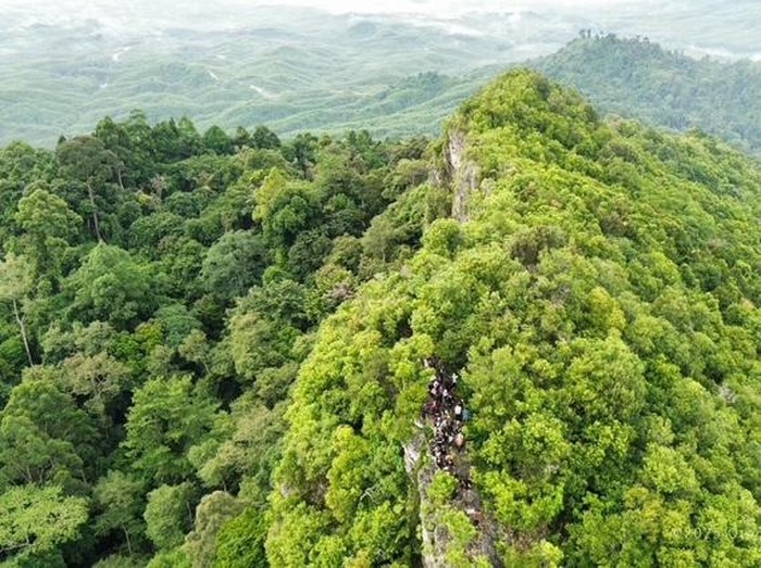 Suasana dari atas Gunung Parung IKN. (dok IKN)