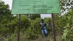 Ironi TWA Bukit Tambi, Kawasan Konservasi di Jambi Dipenuhi Kebun Sawit