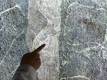 Ironi TWA Bukit Tambi, Kawasan Konservasi di Jambi Dipenuhi Kebun Sawit