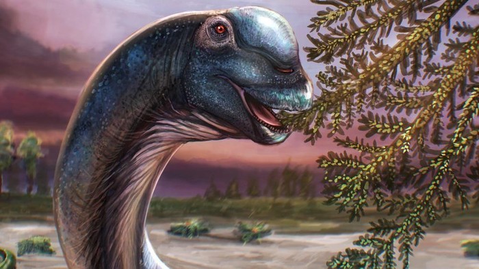 Dinosaurus Raksasa Teridentifikasi dari Fosil di Thailand, Dinamai Nagatitan