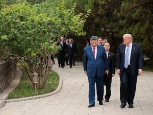 Trump Kaget Diajak Xi Jinping Lihat Pohon Berusia Ratusan Tahun