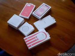 Unboxing iPhone 17e Soft Pink, Warnanya Menggoda Harga Rp 13 Jutaan