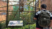 Pengunjung bisa melihat dan belajar langsung tentang sawa di batu secret zoo Jatim Park 2 (Foto: M. Bagus Ibrahim/ detikjatim)