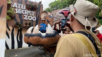 Wisatawan mengabadikan momen di area Museum Satwa Jatim Park 2 Kota Batu saat long weekend berlangsung. (Foto: M. Bagus Ibrahim/ detikjatim)