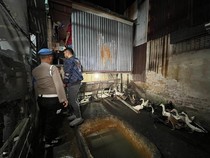 Kandang Ternak Disulap Jadi Sarang Narkoba di Medan