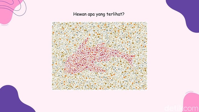 asah otak long weekend