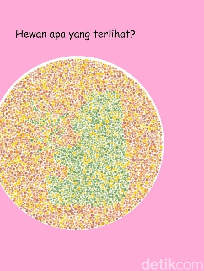 Tak Semua Orang Bisa Temukan Panda di Gambar Ini, Ada yang Lihat Ikan Sapu-sapu?