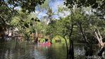 Bertualang Menyusuri Hutan Mangrove dengan Kano di Pantai Cacalan