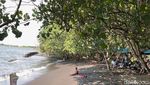 Bertualang Menyusuri Hutan Mangrove dengan Kano di Pantai Cacalan
