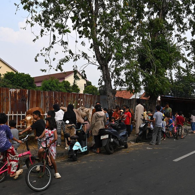 DKI Larang Lapak Hewan Kurban di Atas Trotoar