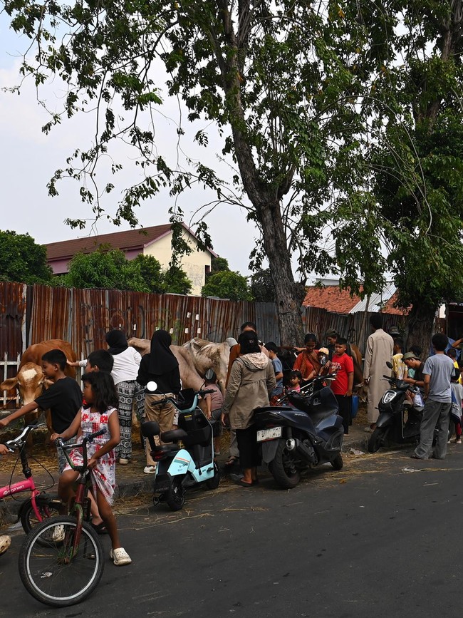 DKI Larang Lapak Hewan Kurban di Atas Trotoar