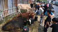 Pemerintah Provinsi DKI Jakarta melarang penjualan hewan kurban di trotoar, taman kota, maupun fasilitas umum lainnya. ANTARA FOTO/Indrianto Eko Suwarso