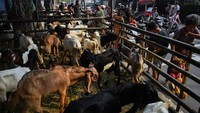 Larangan tersebut diterapkan karena dinilai mengganggu pejalan kaki, memicu kemacetan, serta menimbulkan limbah kotoran yang mengganggu kebersihan lingkungan. ANTARA FOTO/Indrianto Eko Suwarso