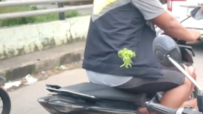 Pelaku pembusuran terhadap driver ojol di Jalan Inspeksi Kanal Makassar telah ditangkap.
