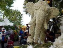 Insiden Gajah Putih Nyaris Patah Jelang Surabaya Vaganza 2026